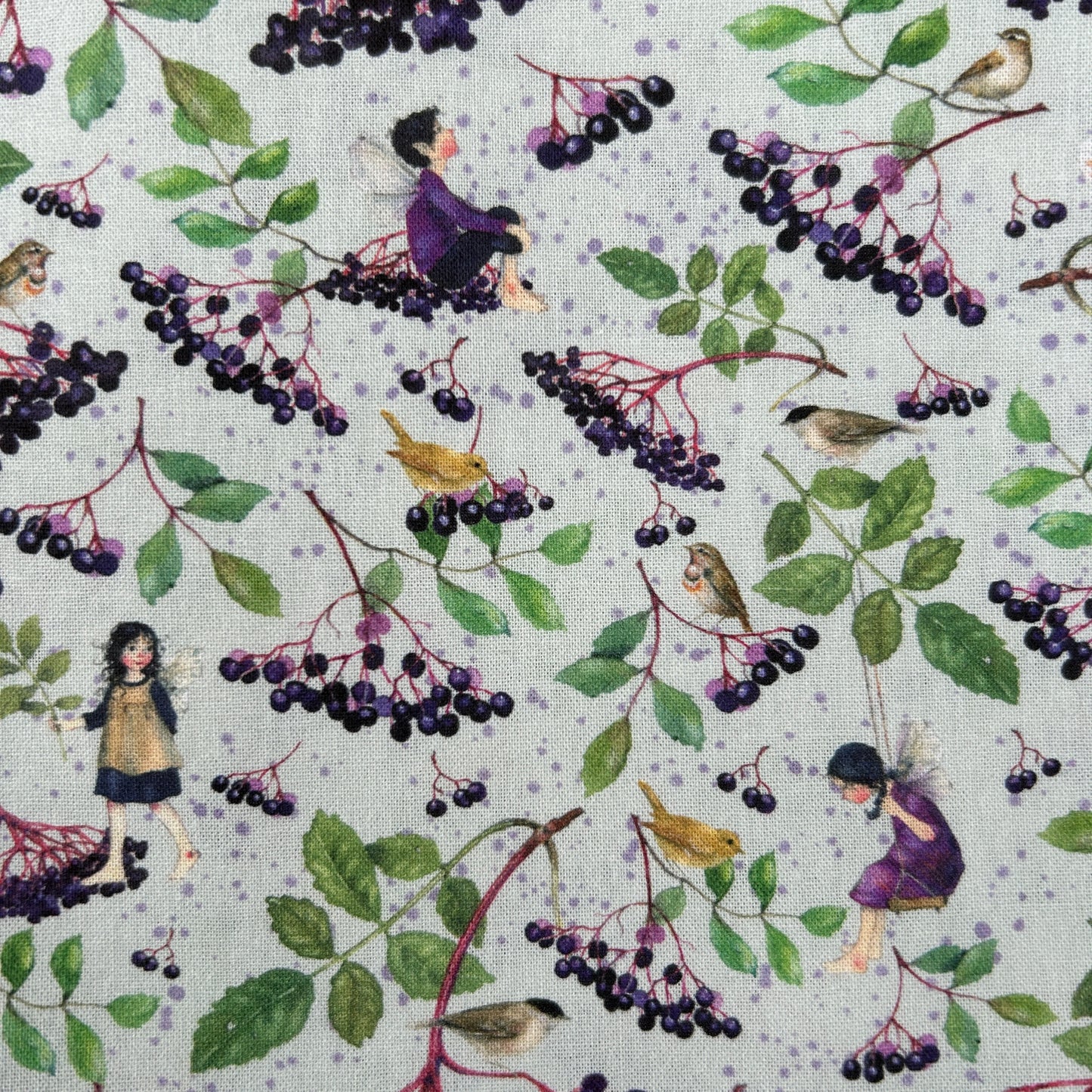 Elderberry Fairy