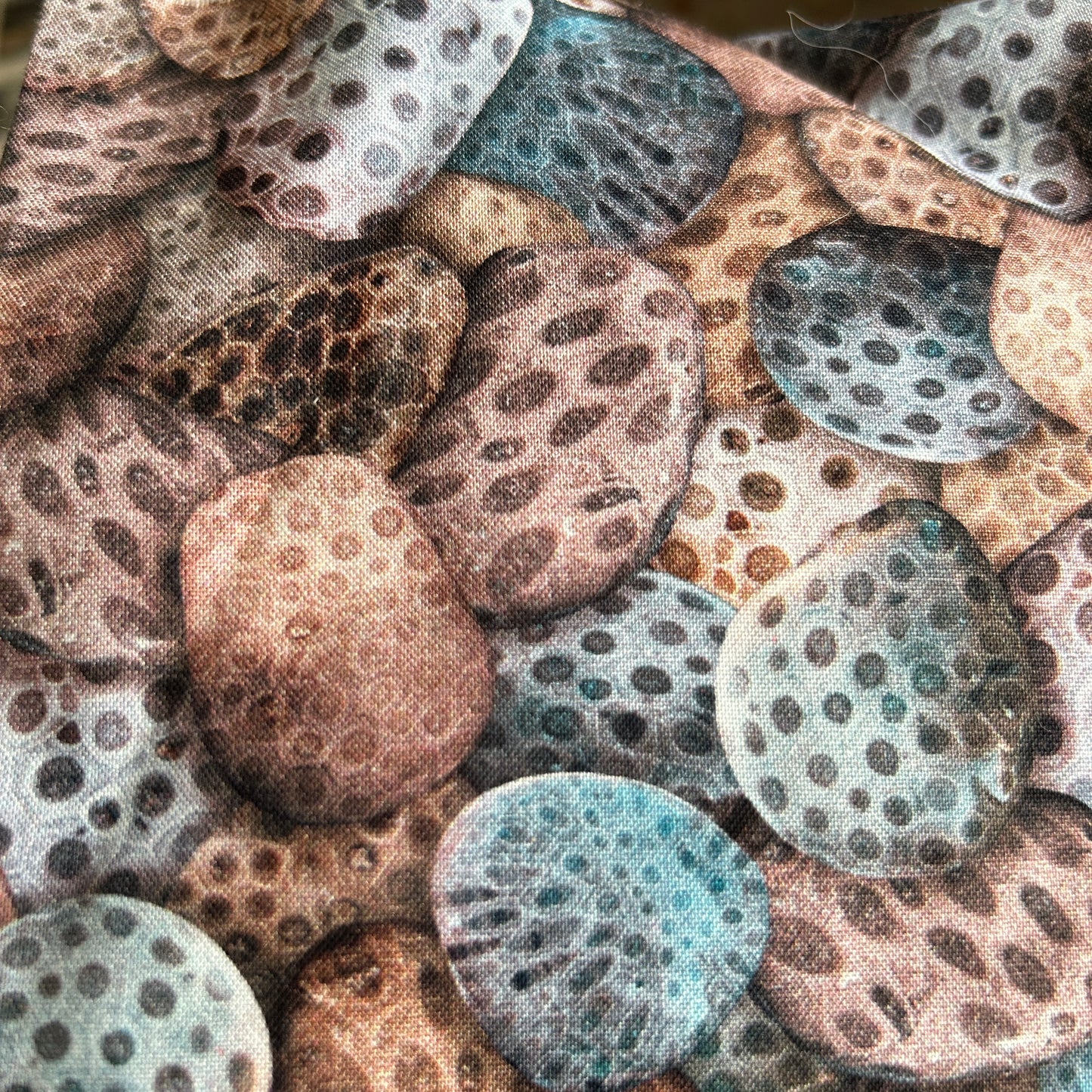 Petoskey Stone Fairy & Stone Set (Style 2)