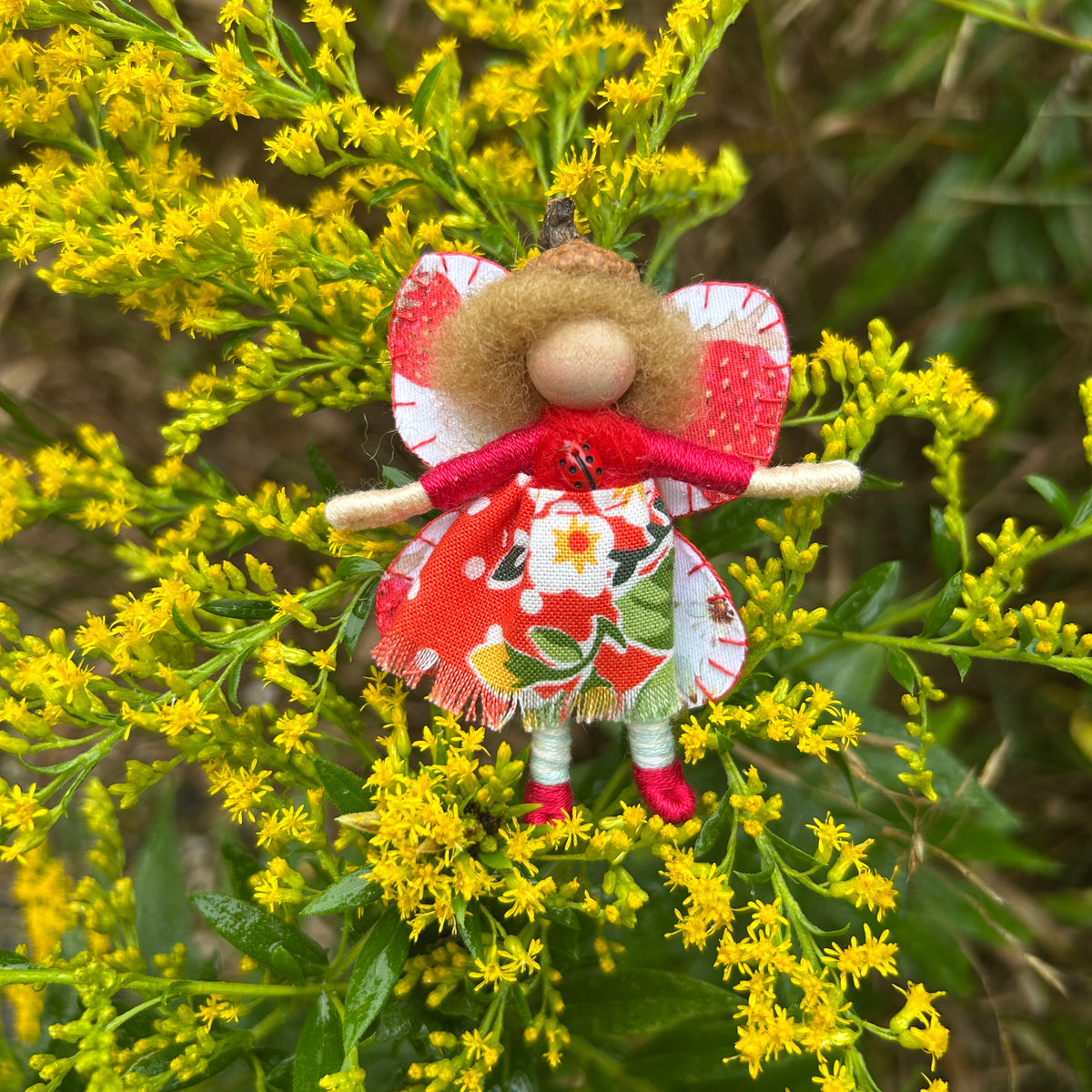 Ladybug and Strawberry Fairy