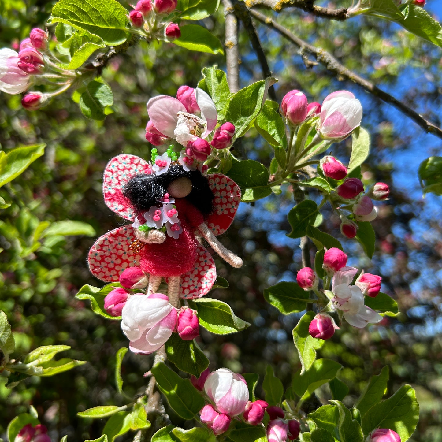 Blossom Fairy