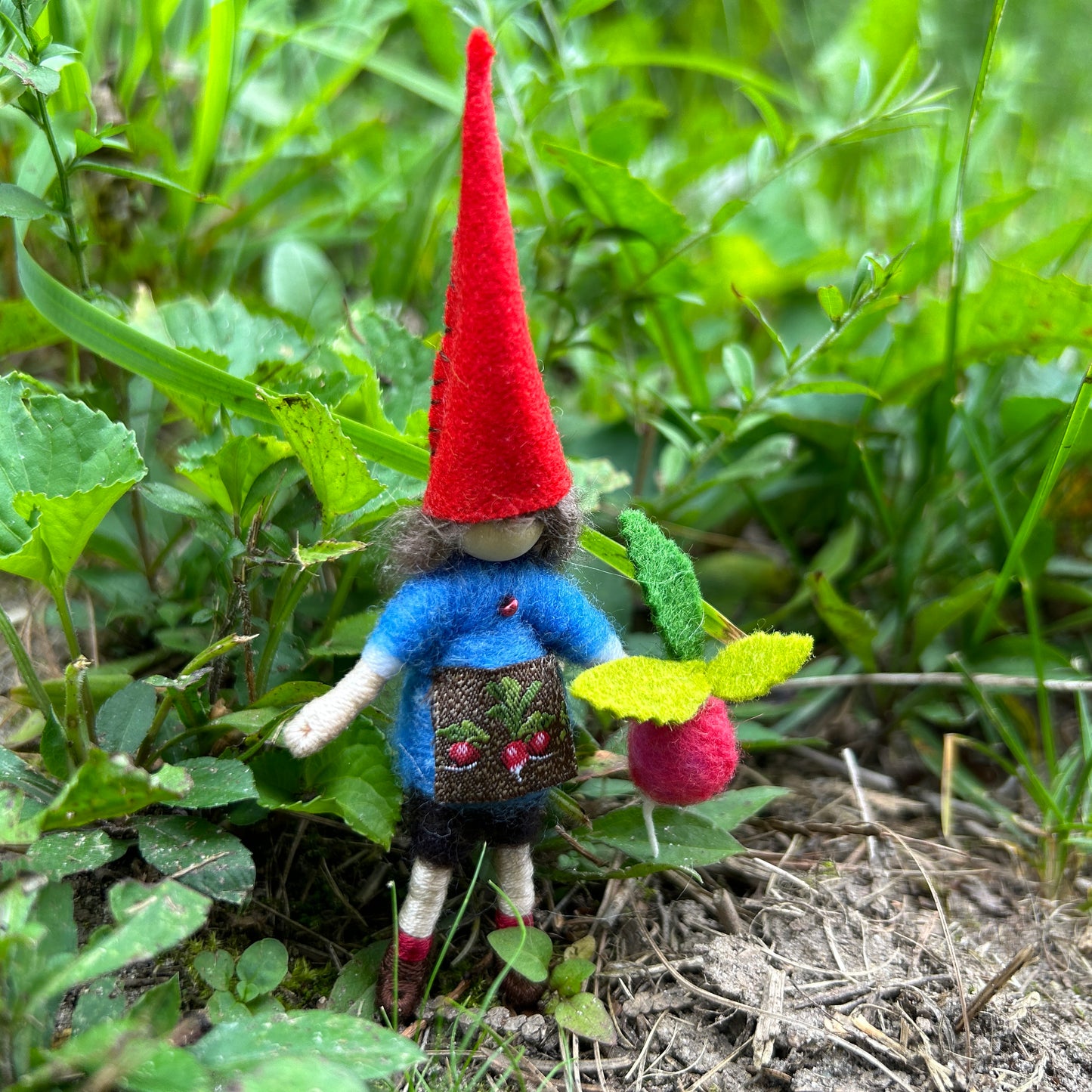Gnome with Radish
