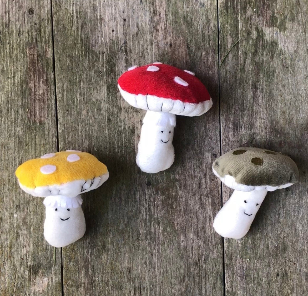 Mushroom Kit