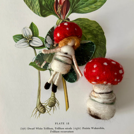 Mimicry in Fairy Land