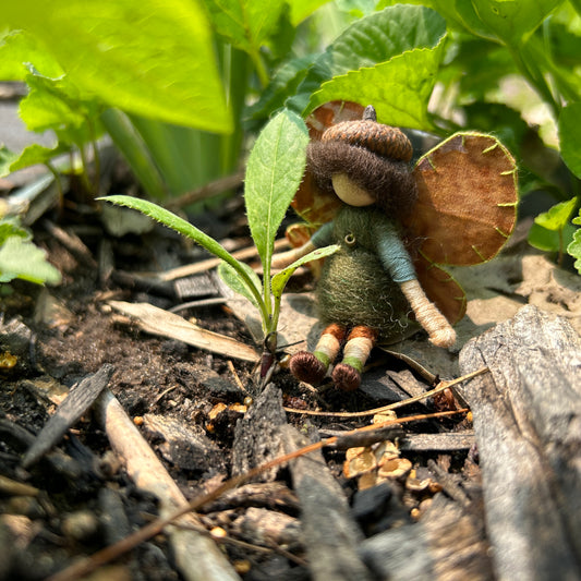 More Magic in the Garden