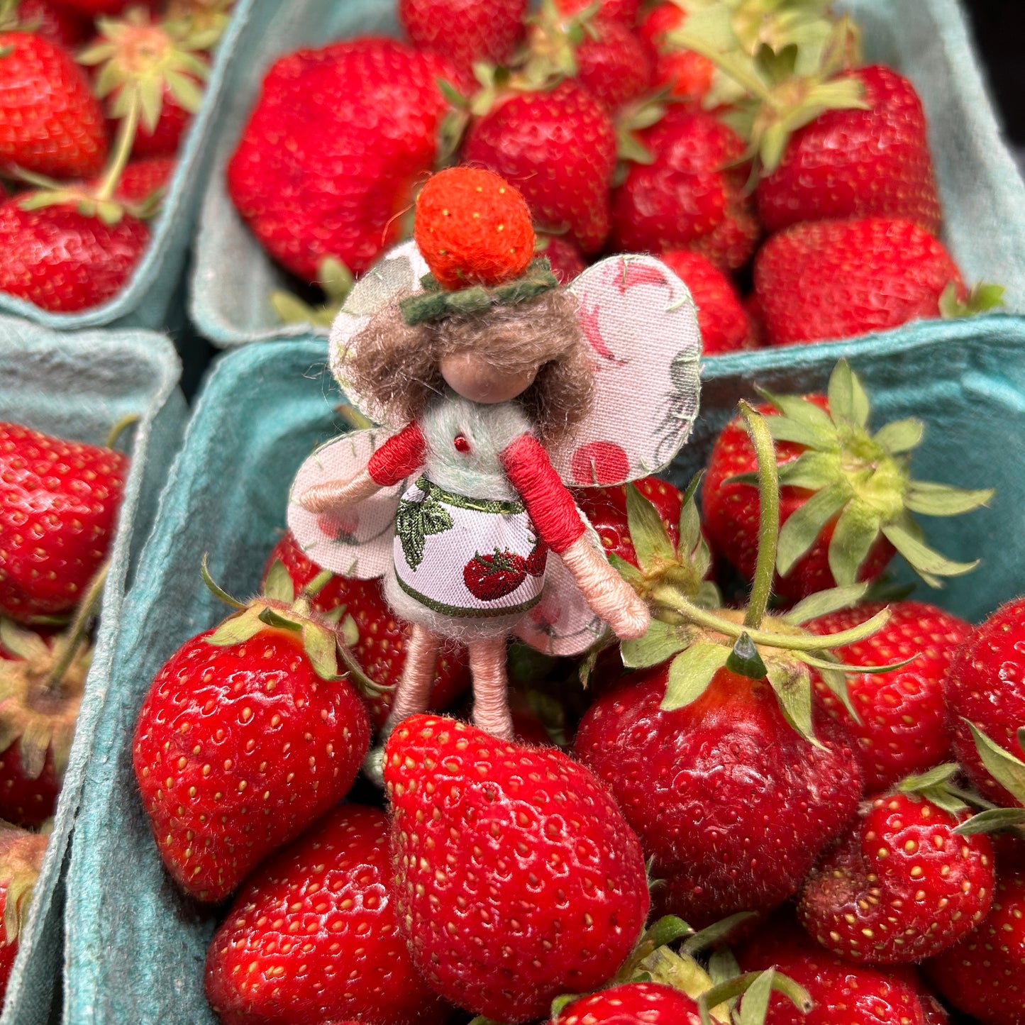 Strawberry Fairy