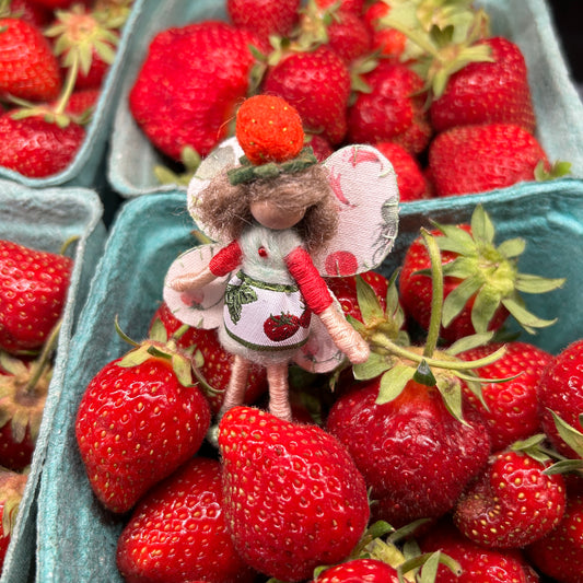 Strawberry Fairy