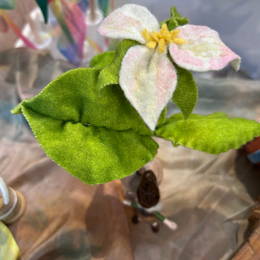 Trillium
