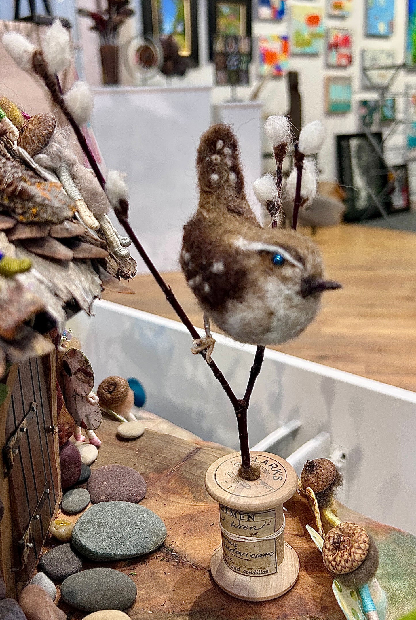 Carolina Wren Among the Pussy Willows