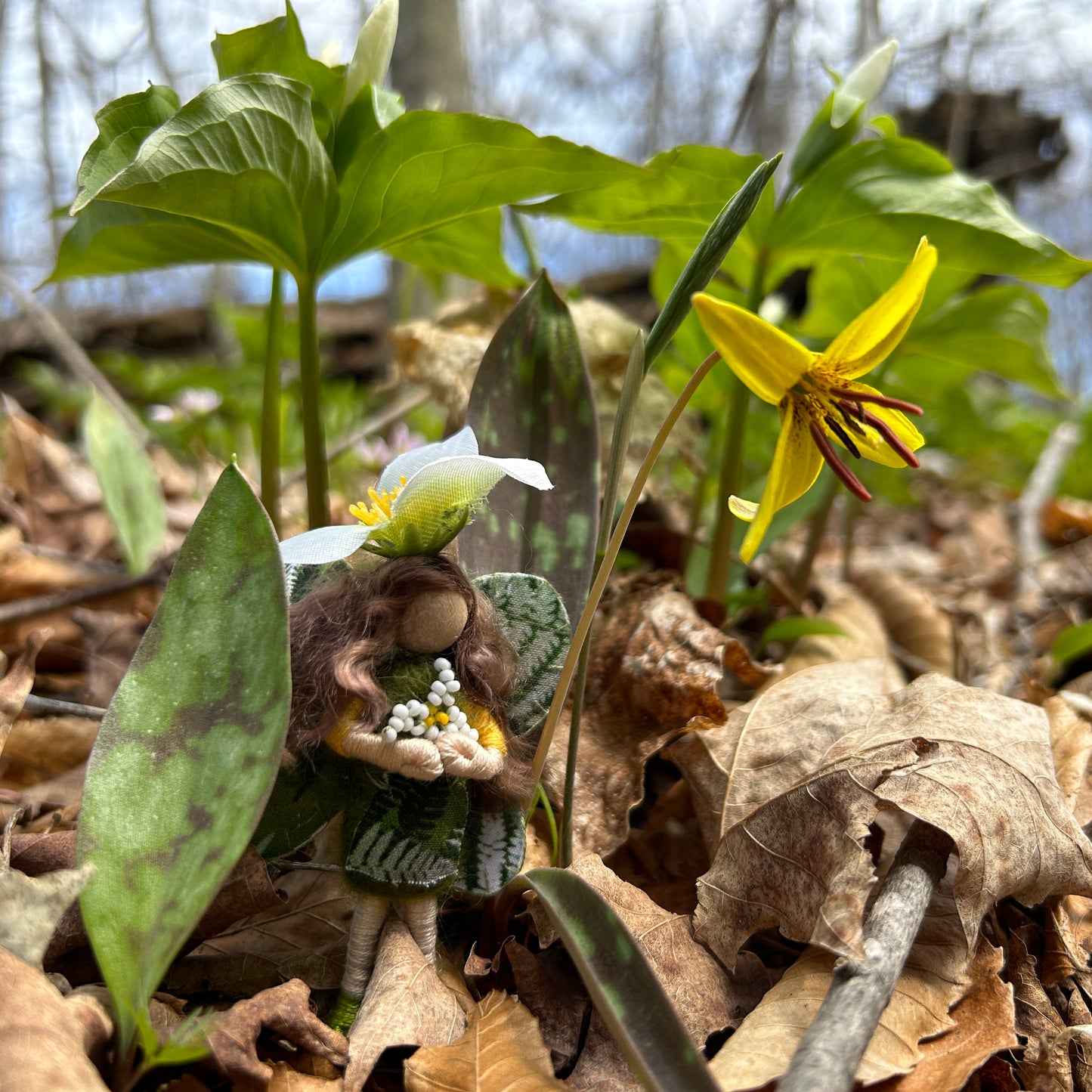 Trillium Fairy