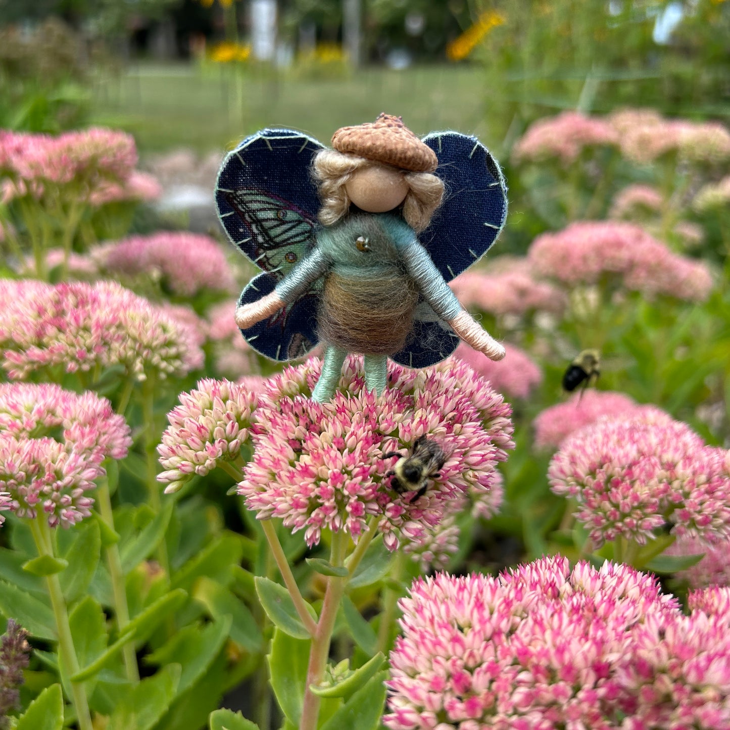Moth Fairy